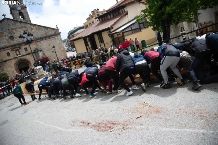 Pingada del Mayo en San Leonardo 2024