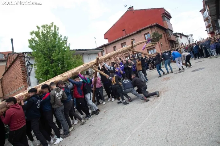 Pingada del Mayo en San Leonardo 2024