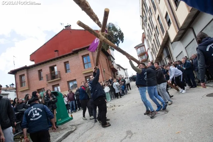 Pingada del Mayo en San Leonardo 2024