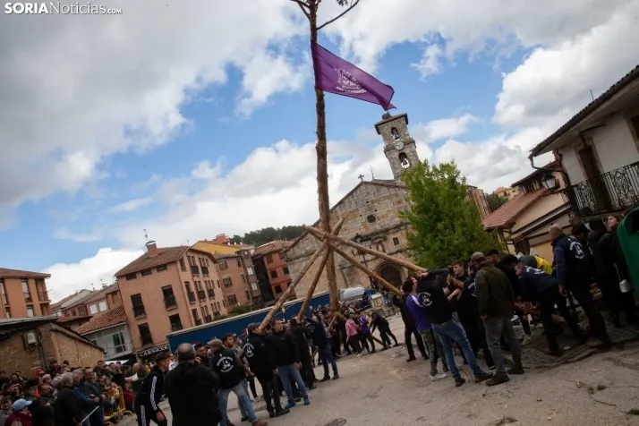 Pingada del Mayo en San Leonardo 2024