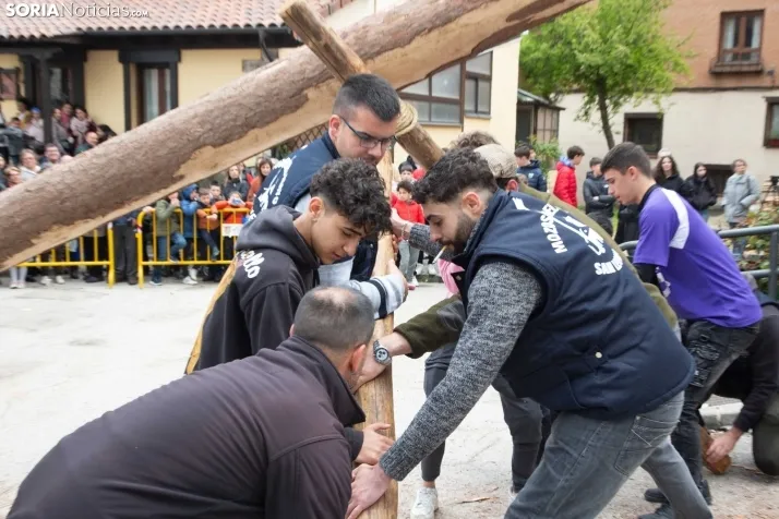 Pingada del Mayo en San Leonardo 2024