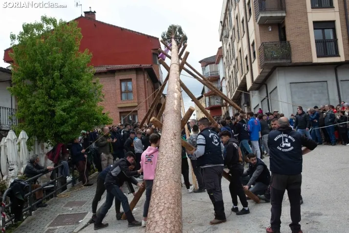 Pingada del Mayo en San Leonardo 2024