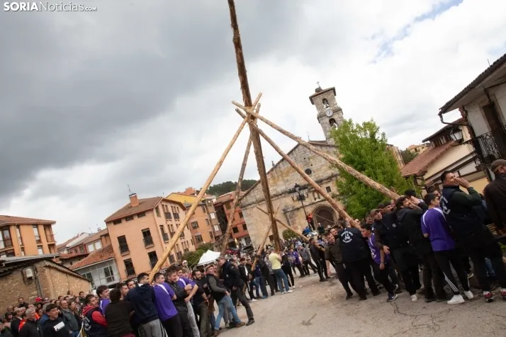 Pingada del Mayo en San Leonardo 2024