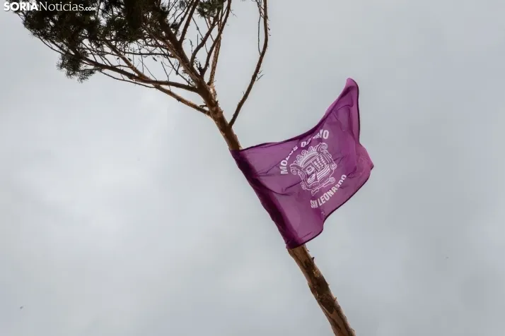 Pingada del Mayo en San Leonardo 2024