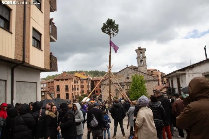 Pingada del Mayo en San Leonardo 2024