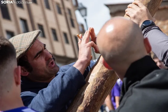 Pingada del Mayo en San Leonardo 2024