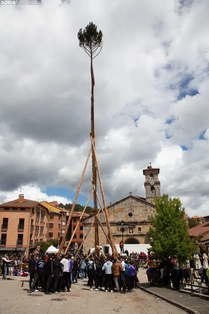Pingada del Mayo en San Leonardo 2024