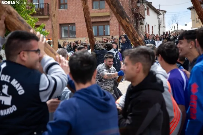 Pingada del Mayo en San Leonardo 2024