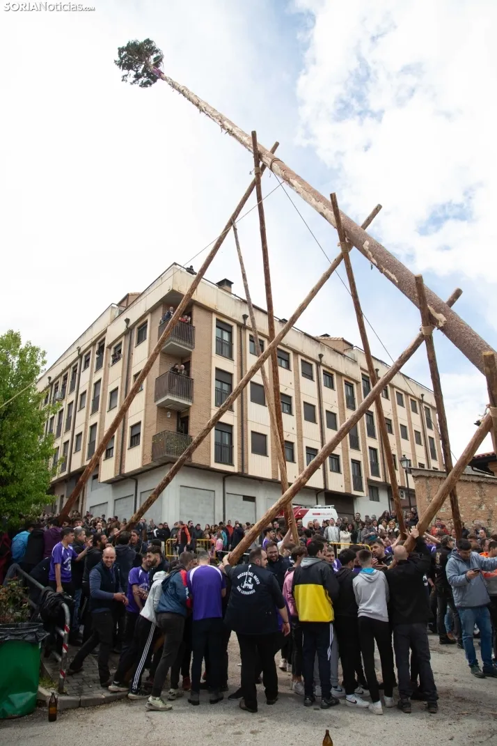 Pingada del Mayo en San Leonardo 2024