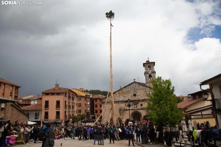 Pingada del Mayo en San Leonardo 2024