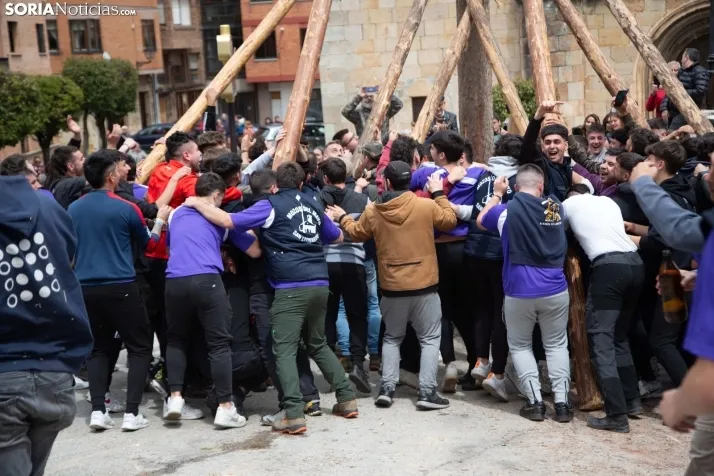 Pingada del Mayo en San Leonardo 2024