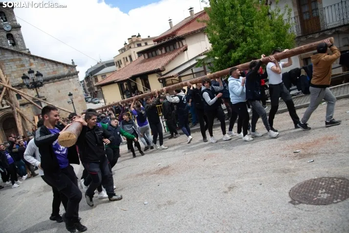Pingada del Mayo en San Leonardo 2024