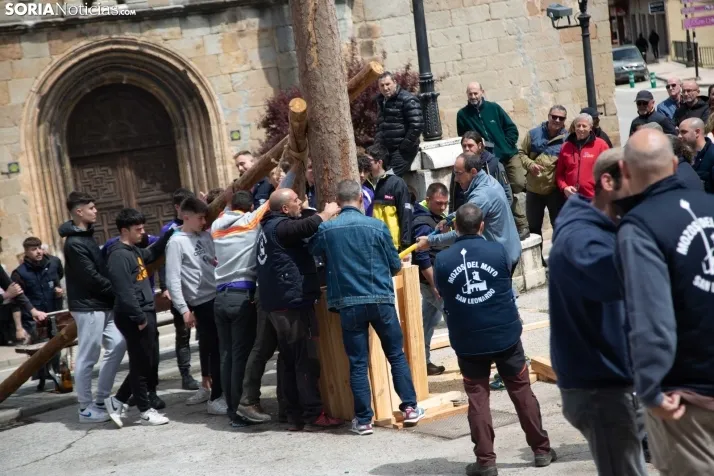 Pingada del Mayo en San Leonardo 2024