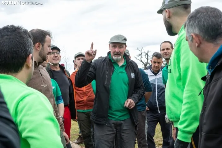 Pingada del mayo en Covaleda 2024