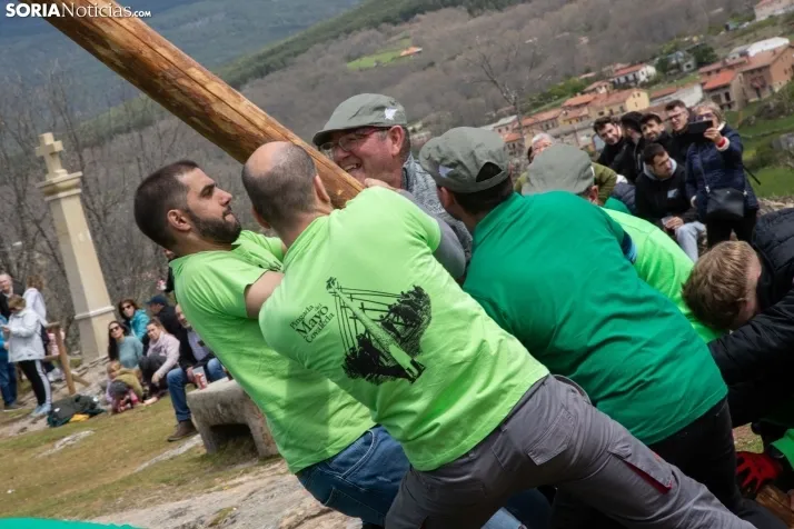 Pingada del mayo en Covaleda 2024