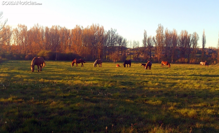 Castilla y León aumenta hasta los 19,8 M&euro; las ayudas a la agricultura de precisión y tecnologías 4.0 