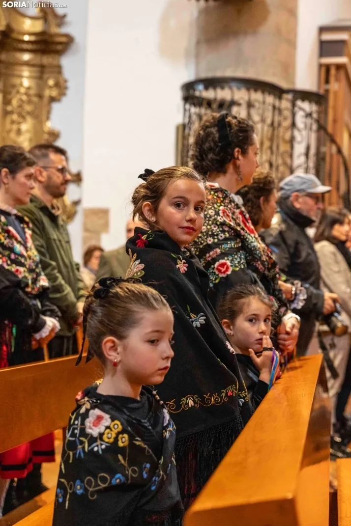 El Zarrón de Almazán 2024./Viksar Fotografía