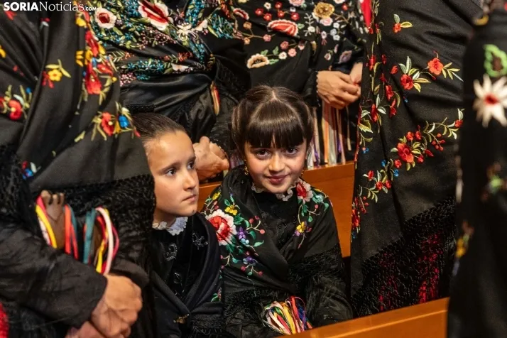 El Zarrón de Almazán 2024./Viksar Fotografía