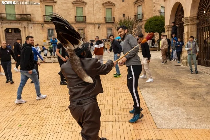 El Zarrón de Almazán 2024./Viksar Fotografía