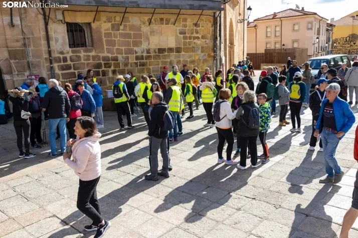 FOTOS | Soria camina por la igualdad junto a Asamis