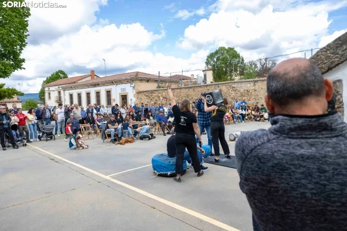 GALER&Iacute;A | Los m&aacute;s fuertes de Castilla y Le&oacute;n se citan en Soria