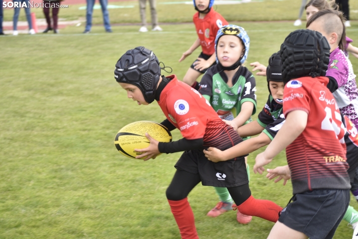 Escuelas de rugby en Soria.