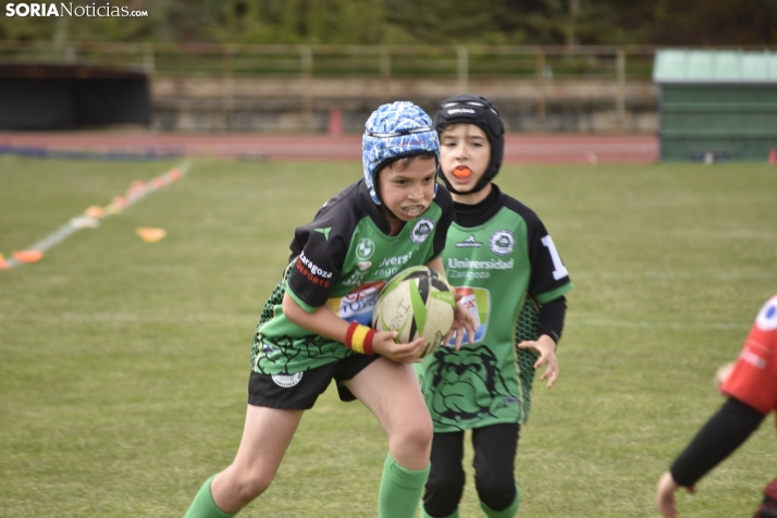 Escuelas de rugby en Soria. 