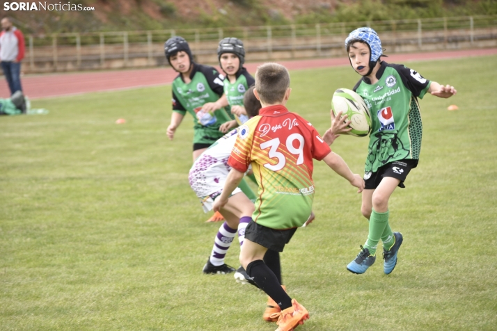 Escuelas de rugby en Soria. 