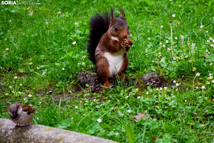 Ligero ascenso térmico y más tormentas para este martes
