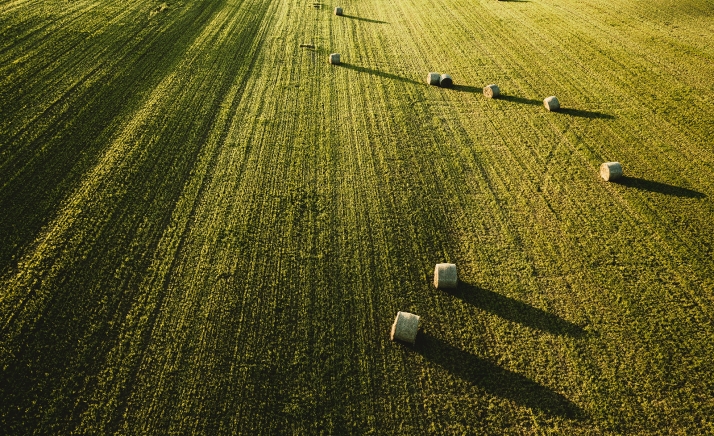 Castilla y León lanza una nueva convocatoria de incorporación a nuevos contratos plurianuales de ayudas agroambientales por 32,5 M&euro;