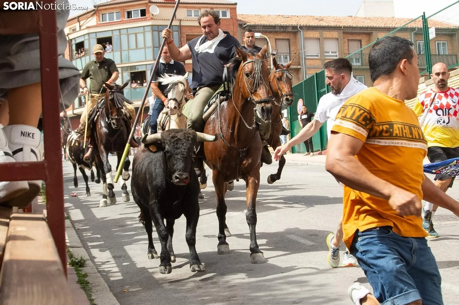 Foto 2 - La Saca finaliza con 11 novillos entrando en los corrales de la plaza de Toros