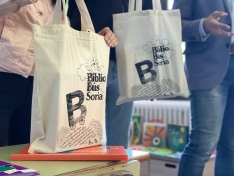 Una imagen de la entrega de las bolsas hoy en Molinos de Duero. /Dip.