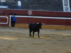 Foto 39 - FOTOS Y CR&Oacute;NICA | El &lsquo;Desencajonamiento&rsquo; se vive con m&aacute;xima expectaci&oacute;n en &lsquo;El Coso de San Benito&rsquo;