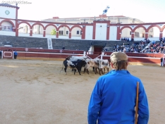 Foto 36 - FOTOS Y CR&Oacute;NICA | El &lsquo;Desencajonamiento&rsquo; se vive con m&aacute;xima expectaci&oacute;n en &lsquo;El Coso de San Benito&rsquo;