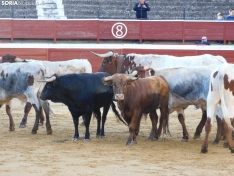 Foto 29 - FOTOS Y CR&Oacute;NICA | El &lsquo;Desencajonamiento&rsquo; se vive con m&aacute;xima expectaci&oacute;n en &lsquo;El Coso de San Benito&rsquo;