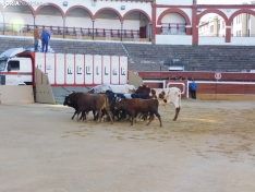 Foto 27 - FOTOS Y CR&Oacute;NICA | El &lsquo;Desencajonamiento&rsquo; se vive con m&aacute;xima expectaci&oacute;n en &lsquo;El Coso de San Benito&rsquo;