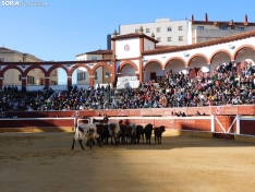 Foto 26 - FOTOS Y CR&Oacute;NICA | El &lsquo;Desencajonamiento&rsquo; se vive con m&aacute;xima expectaci&oacute;n en &lsquo;El Coso de San Benito&rsquo;