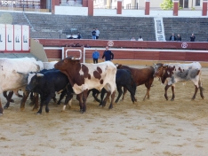Foto 23 - FOTOS Y CR&Oacute;NICA | El &lsquo;Desencajonamiento&rsquo; se vive con m&aacute;xima expectaci&oacute;n en &lsquo;El Coso de San Benito&rsquo;