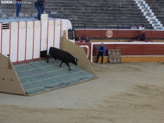 Foto 17 - FOTOS Y CR&Oacute;NICA | El &lsquo;Desencajonamiento&rsquo; se vive con m&aacute;xima expectaci&oacute;n en &lsquo;El Coso de San Benito&rsquo;