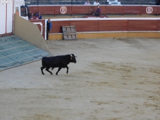 Foto 13 - FOTOS Y CR&Oacute;NICA | El &lsquo;Desencajonamiento&rsquo; se vive con m&aacute;xima expectaci&oacute;n en &lsquo;El Coso de San Benito&rsquo;