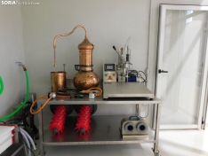 Foto 12 - Convi&eacute;rtete en un profesional del vino con el Grado Superior en Vitivinicultura de San Esteban de Gormaz