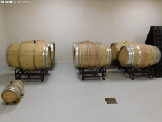 Foto 10 - Convi&eacute;rtete en un profesional del vino con el Grado Superior en Vitivinicultura de San Esteban de Gormaz
