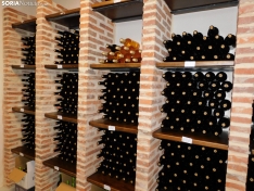 Foto 9 - Convi&eacute;rtete en un profesional del vino con el Grado Superior en Vitivinicultura de San Esteban de Gormaz