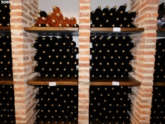 Foto 8 - Convi&eacute;rtete en un profesional del vino con el Grado Superior en Vitivinicultura de San Esteban de Gormaz