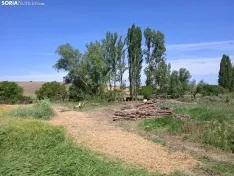 Foto 4 - La CHD avanza en sus labores de limpieza del cauce del r&iacute;o en Peroniel del Campo