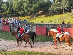 Los novillos de Brihuega, listos para La Saca 2024.