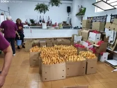 Los sorianos recogen la tajada de todo cocida.