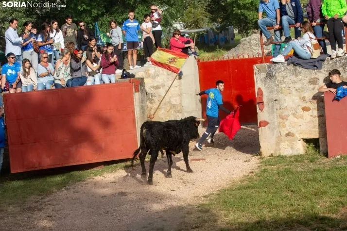 'Lavalengüillas' 2024