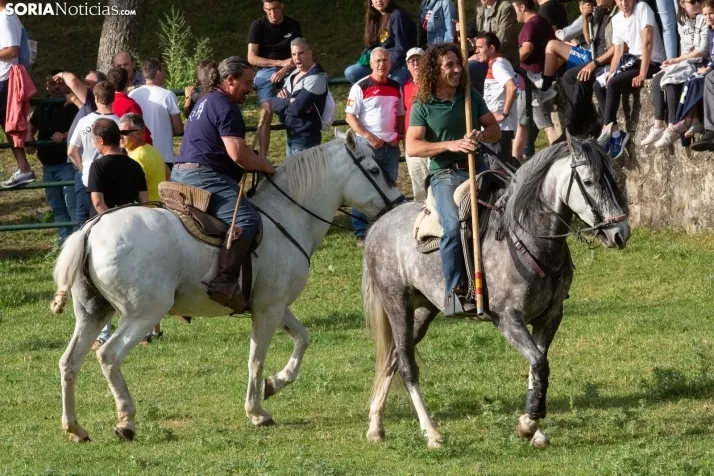 'Lavalengüillas' 2024