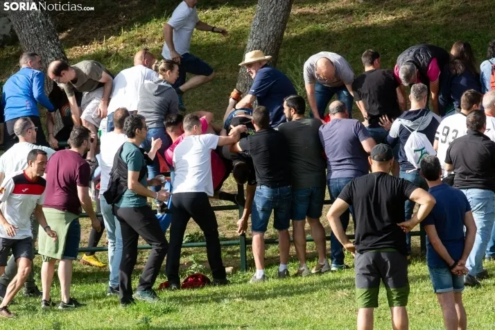 'Lavalengüillas' 2024